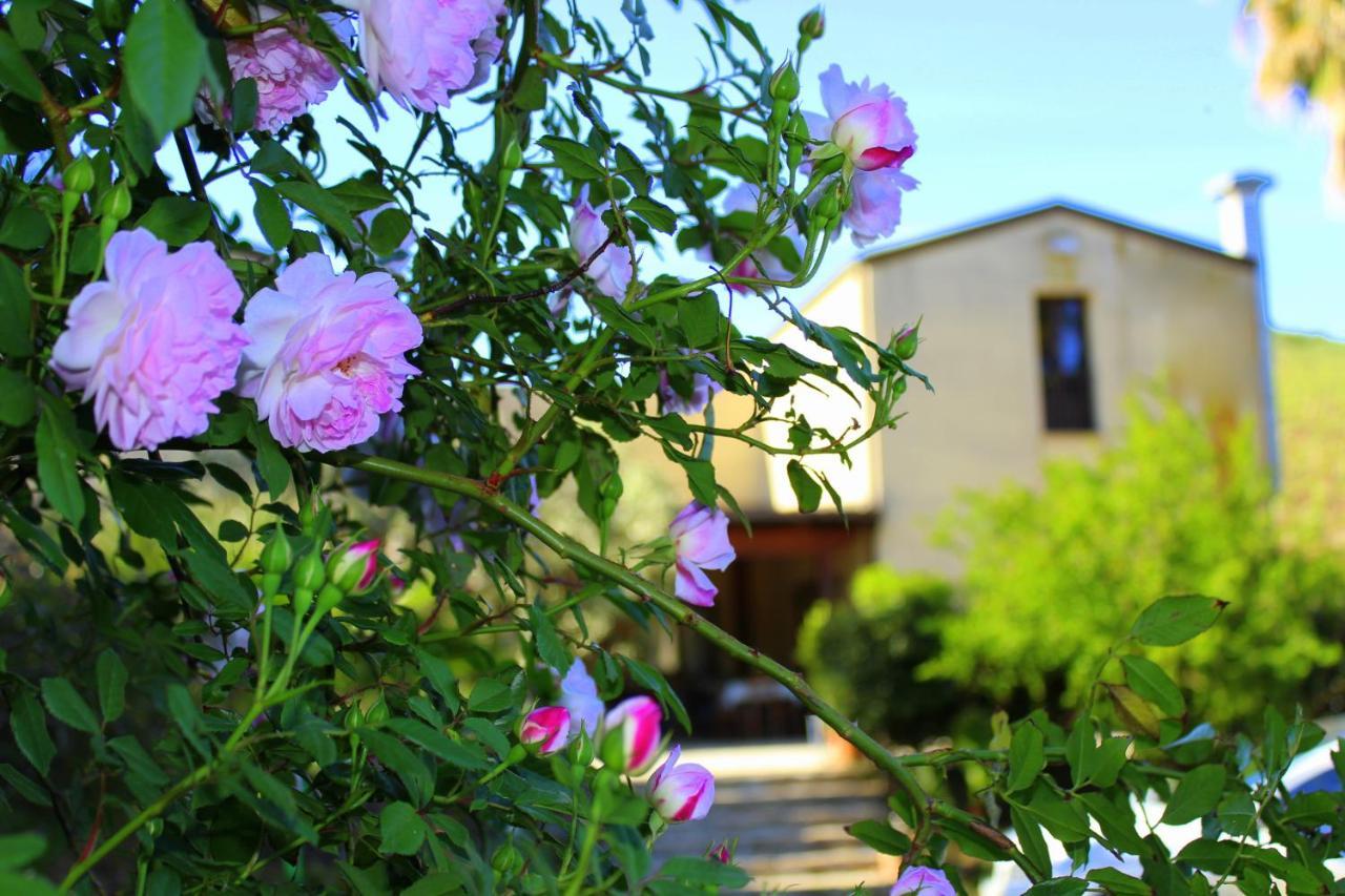 Villa Agriturismo Tarantola à Alcamo Extérieur photo